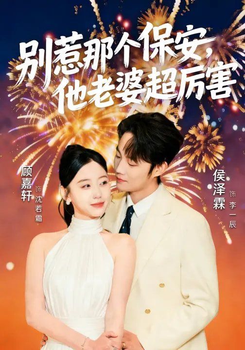 别惹那个保安，他老婆超厉害 高清封面