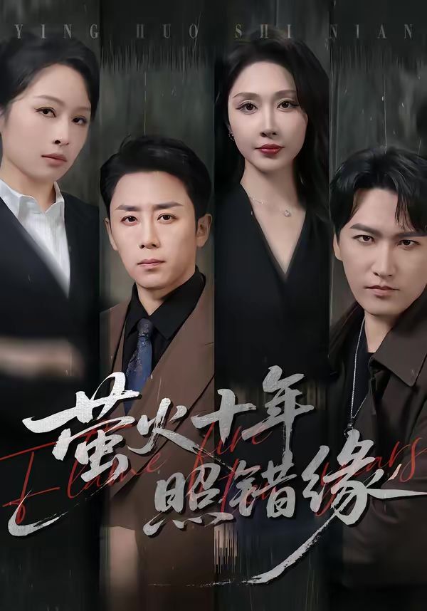 萤火十年照错缘 封面