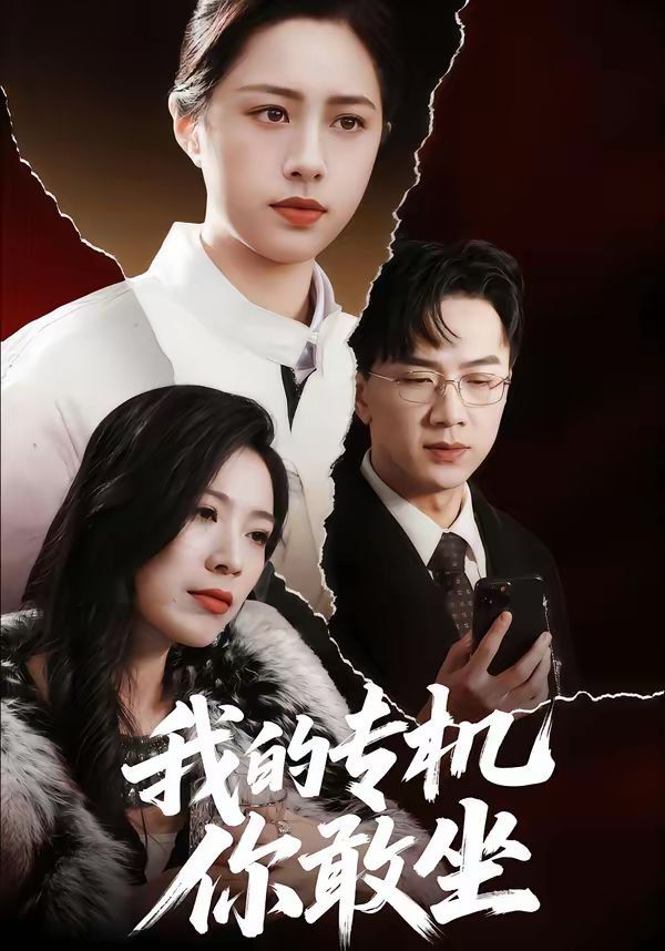 我的专机你敢坐 封面