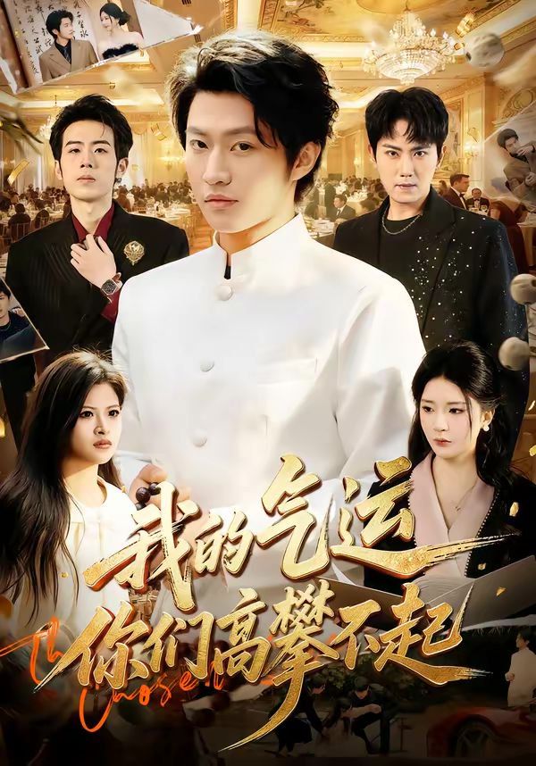 我的气运，你们高攀不起 封面