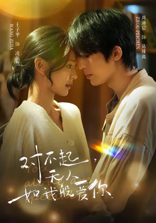 对不起，无人如我般爱你 高清封面