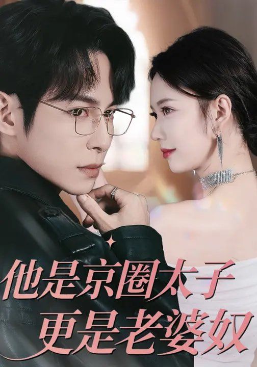 他是京圈太子更是老婆奴 高清封面