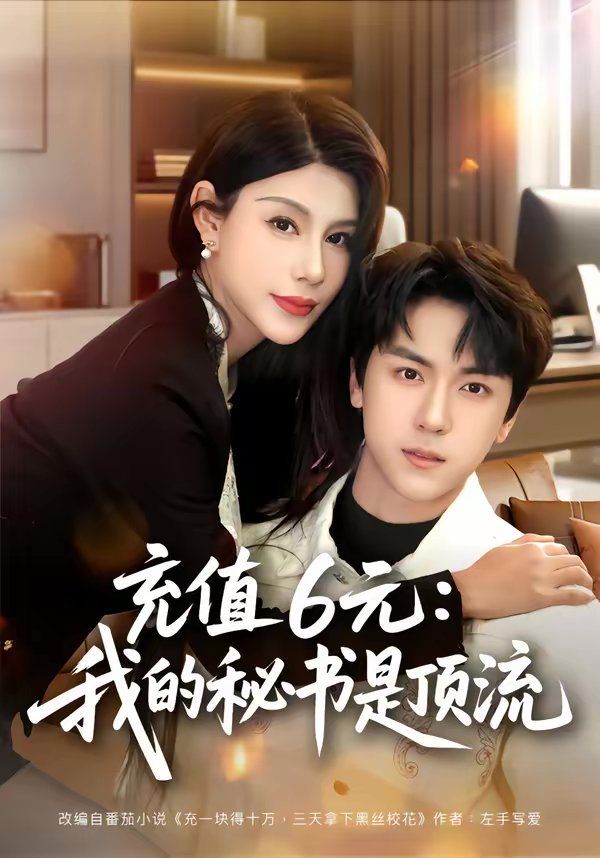 充值6元：我的秘书是顶流 高清封面