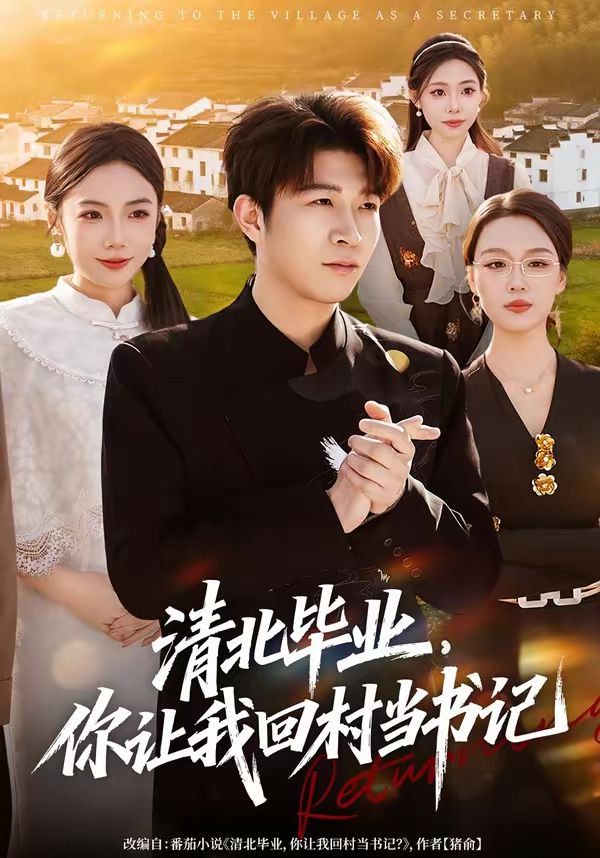 清北毕业，你让我回村当书记 封面