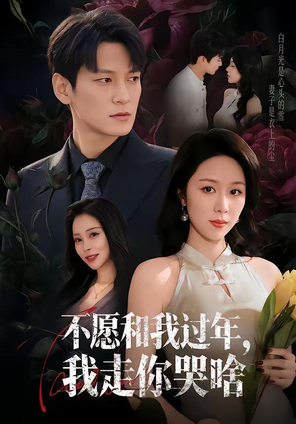 不愿和我过年，我走你哭啥 封面