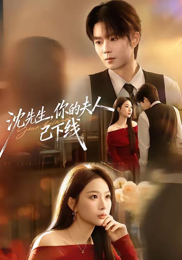 沈先生，你的夫人已下线 高清封面