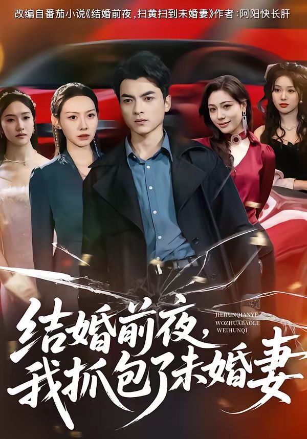 结婚前夜，我抓包了未婚妻 高清封面