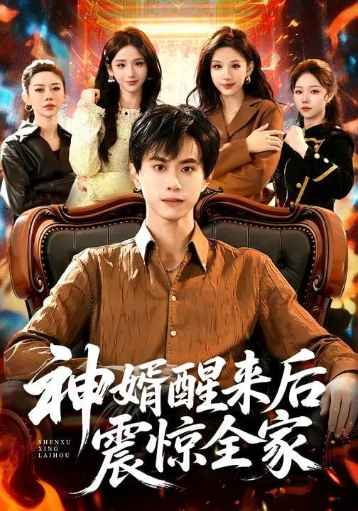 神婿醒来后震惊全家 封面