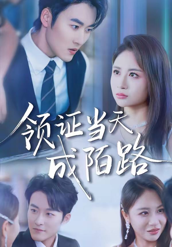 领证当天成陌路 高清封面