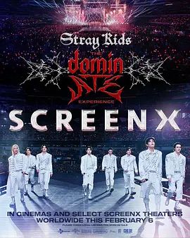Stray Kids：主宰一切的体验 封面