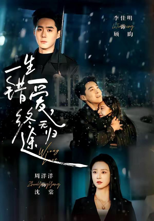 一生错爱，终无归 封面