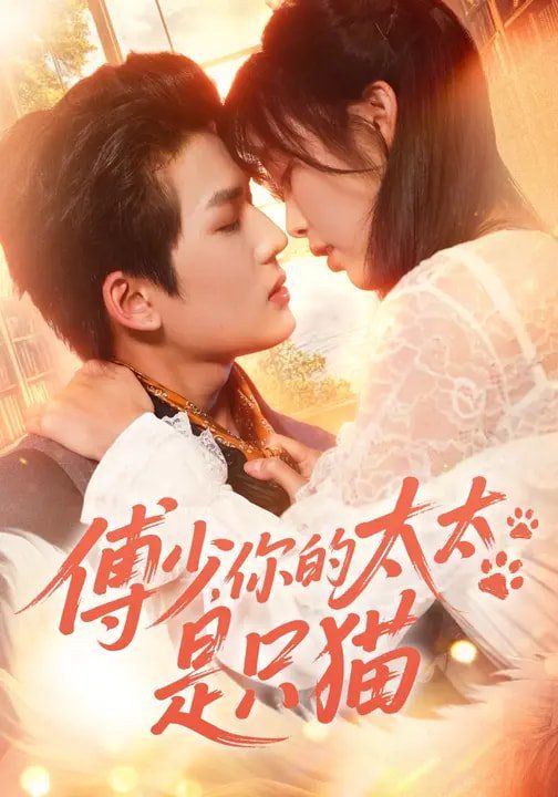 傅少，你的太太是只猫 高清封面