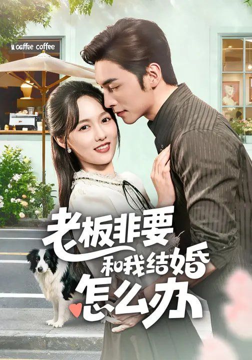 老板非要和我结婚怎么办 封面