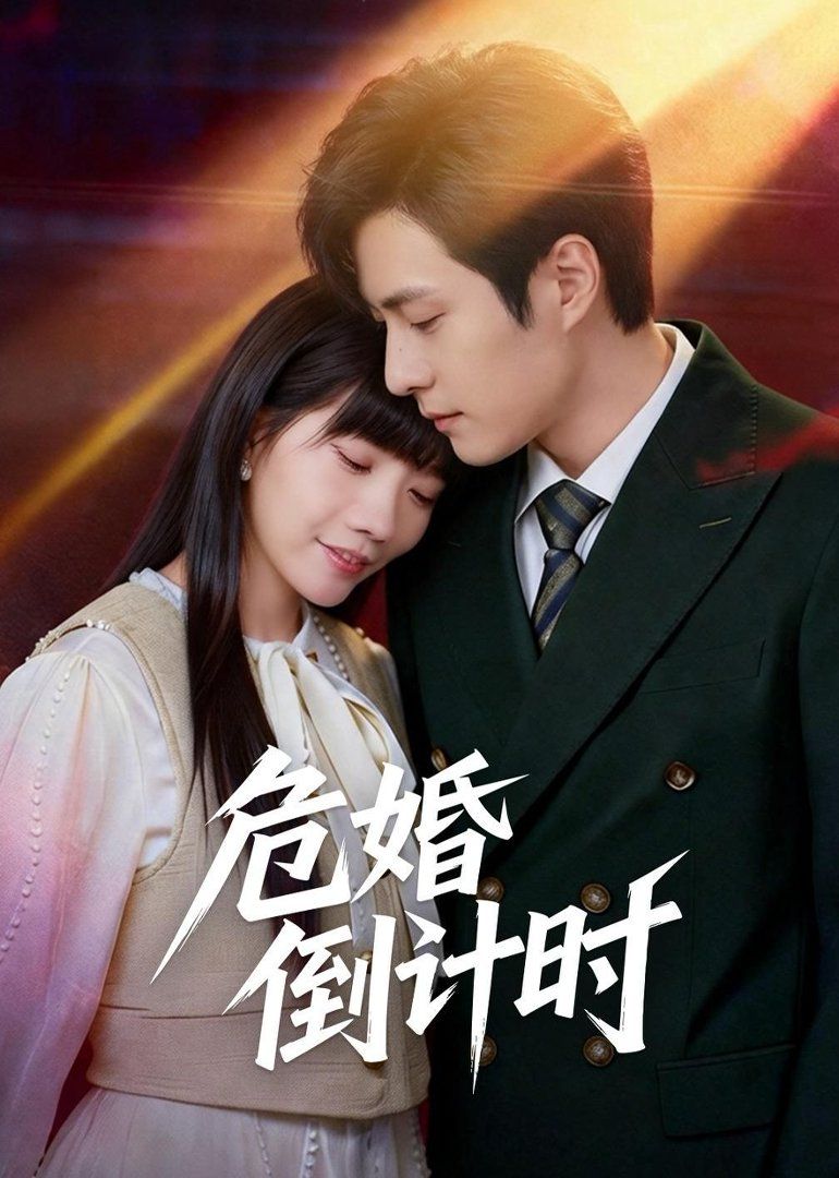 危婚倒计时 高清封面