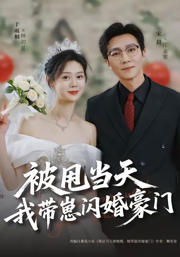 被甩当天我带崽闪婚豪门 封面
