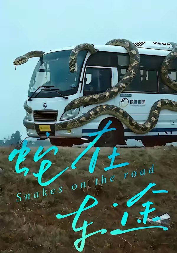蛇在车途 封面