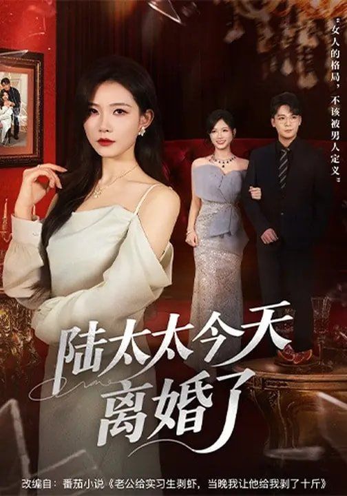 陆太太今天离婚了 高清封面