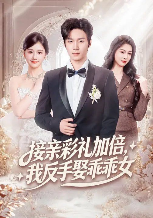 接亲彩礼加倍，我反手娶乖乖女 高清封面
