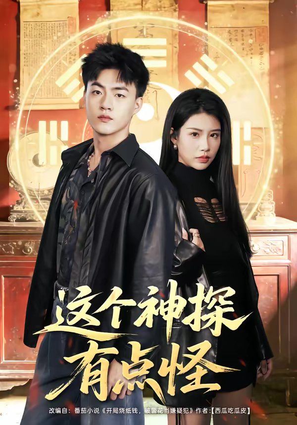 这个神探有点怪 高清封面