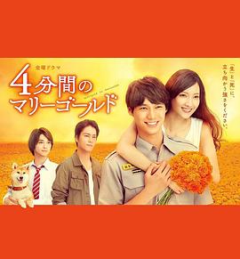 四分钟的金盏菊 封面