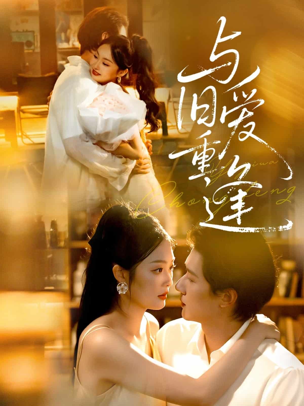 与旧爱重逢 高清封面