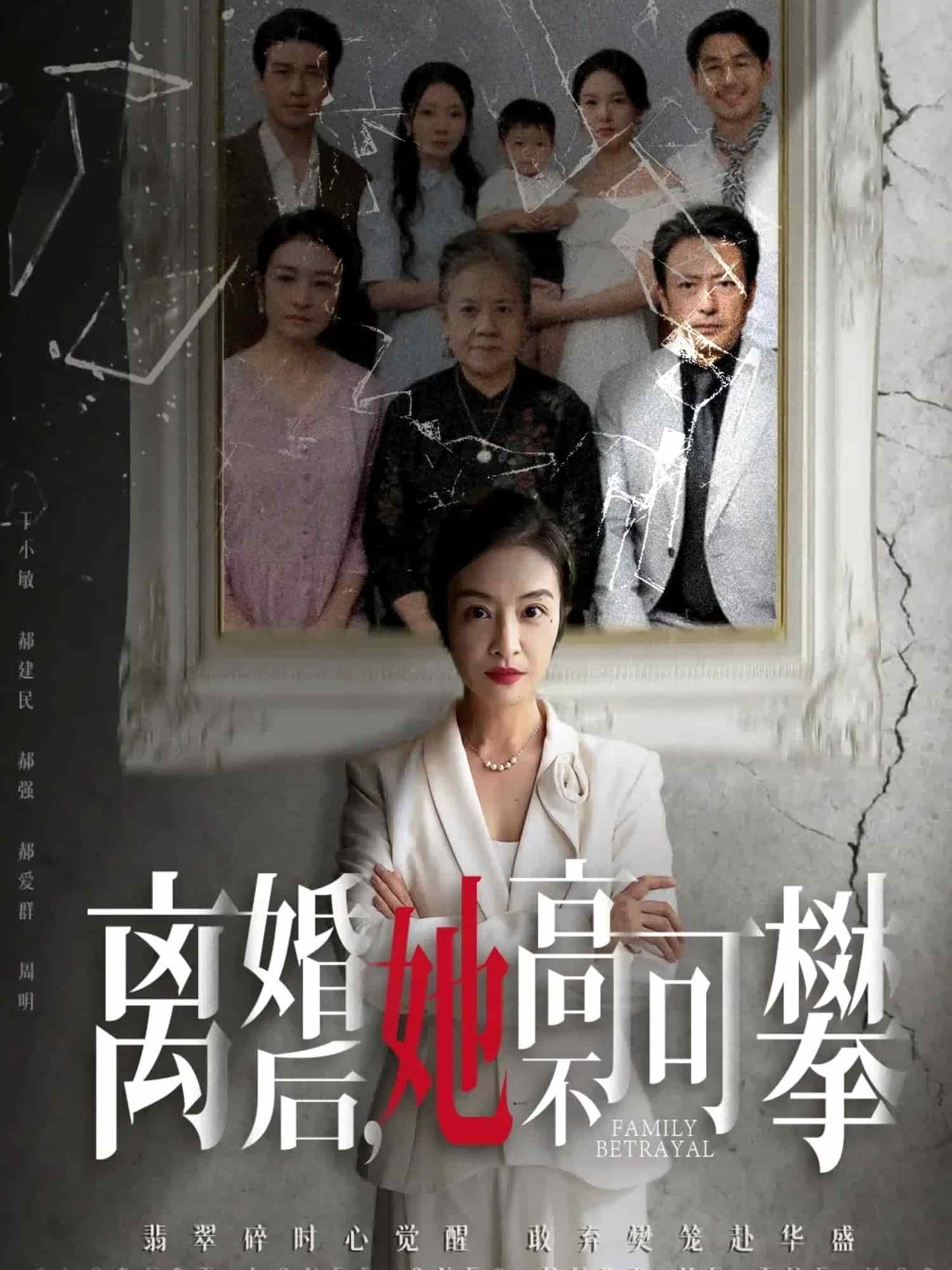 离婚后她高不可攀 高清封面