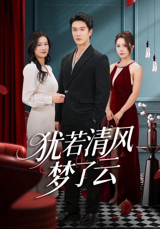 犹若清风梦了云 封面