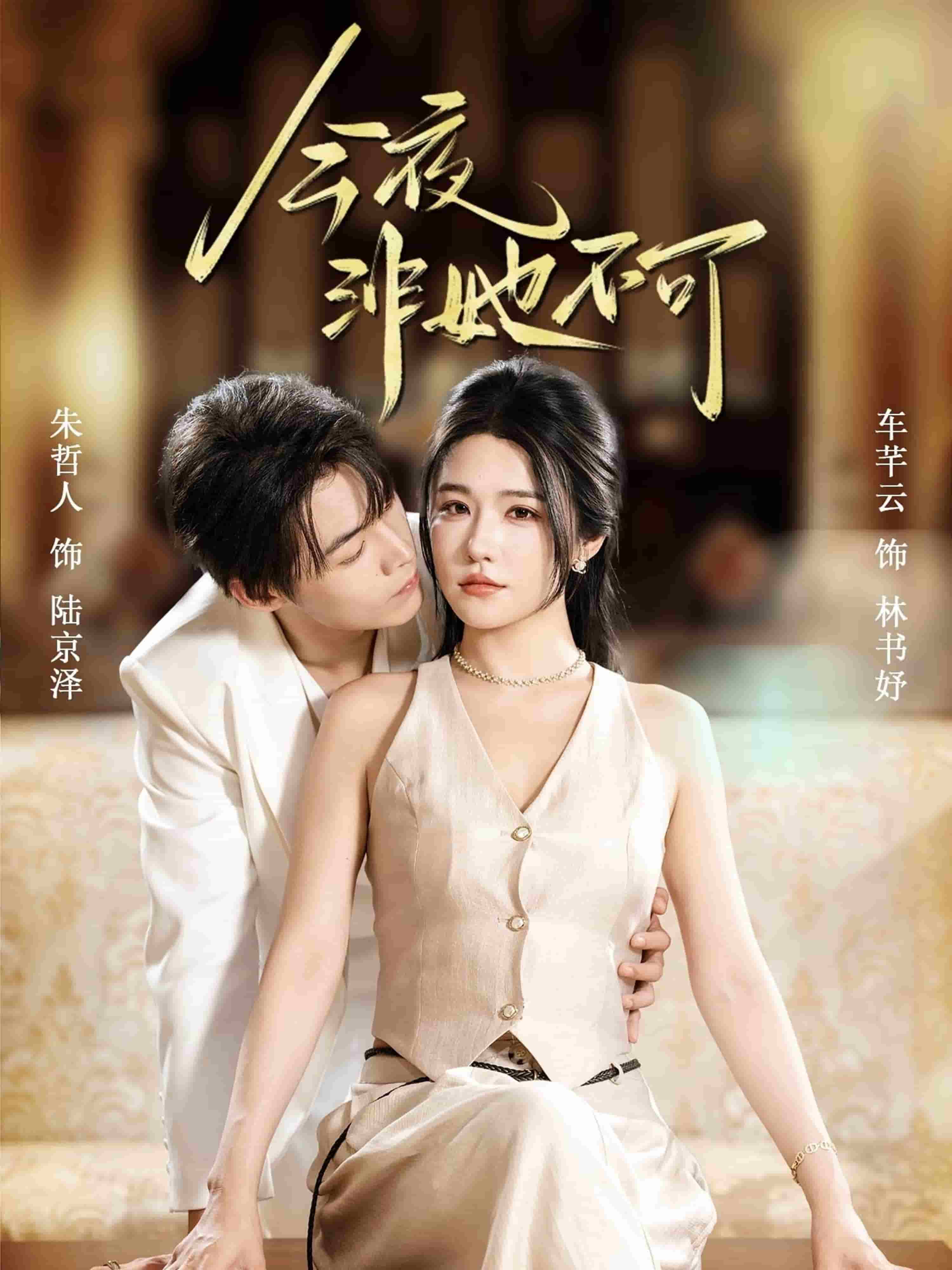 今夜非她不可 高清封面