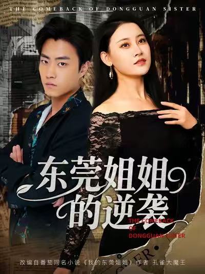 东莞姐姐的逆袭 高清封面