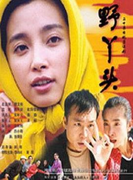 野丫头 封面