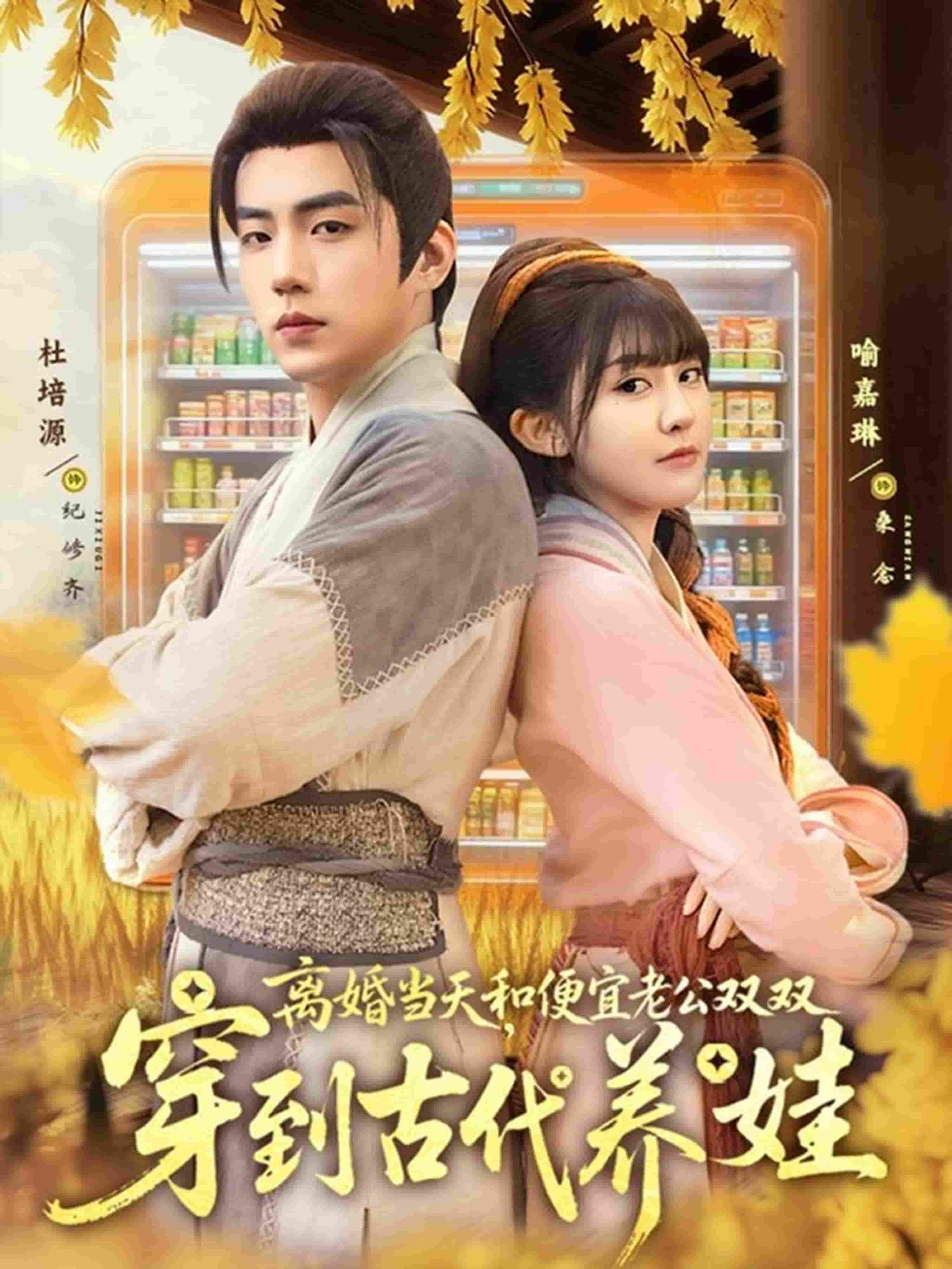 离婚当天，和便宜老公双双穿到古代养娃 高清封面