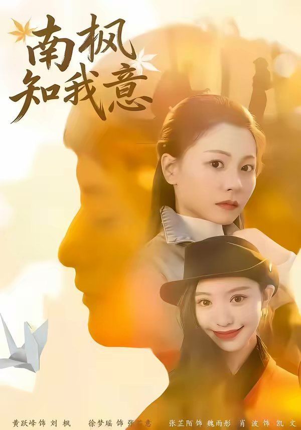 南枫知我意 封面