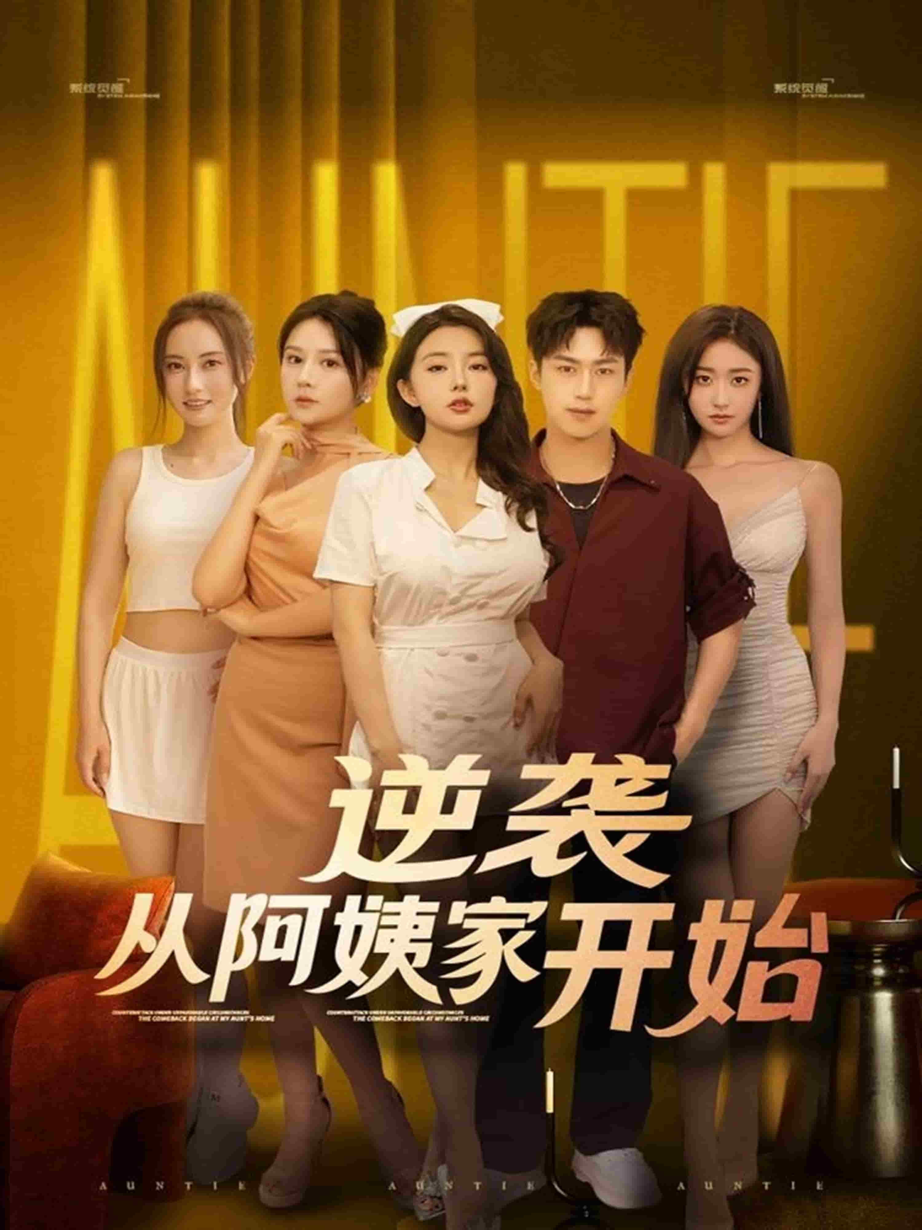 逆袭从阿姨家开始 高清封面
