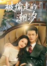 被偷走的潮汐 高清封面