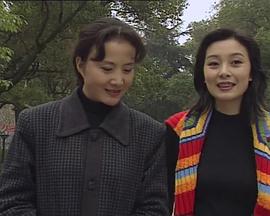 望月湖的故事 封面