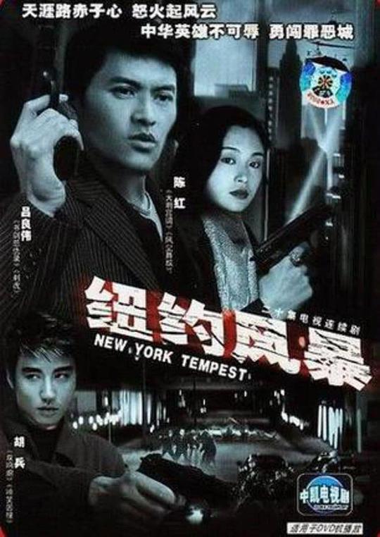 纽约风暴 封面