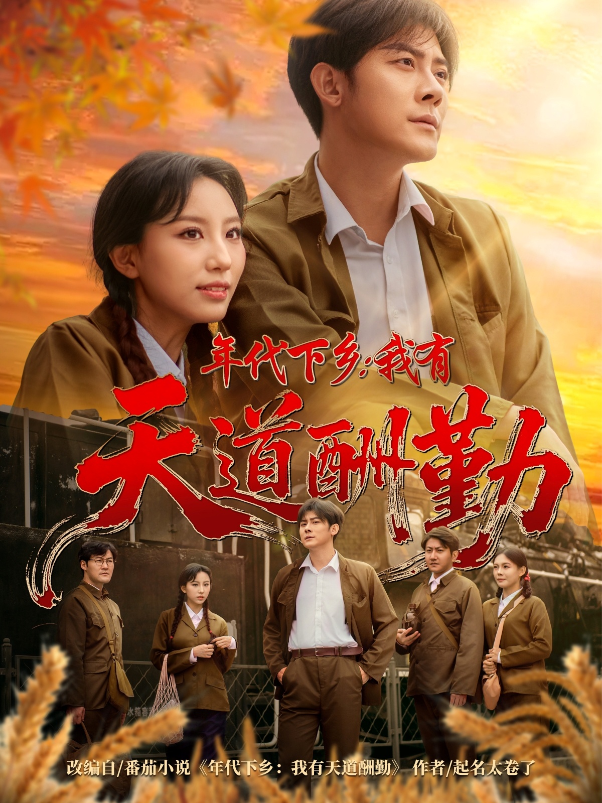 年代下乡我有天道酬勤 高清封面