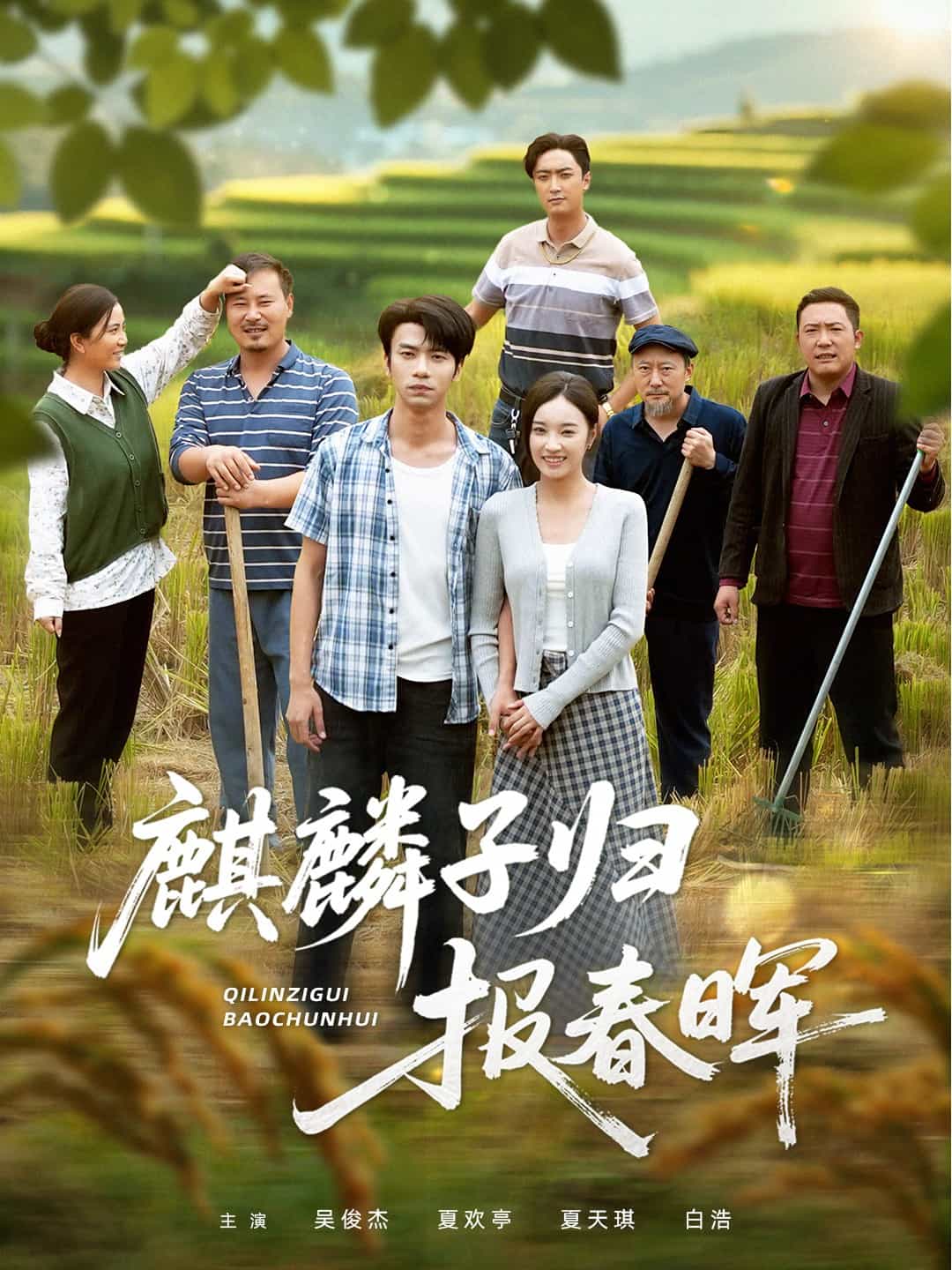 麒麟子归报春晖 高清封面