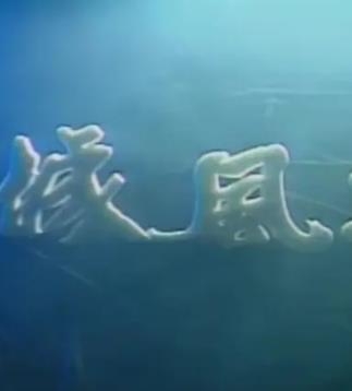 龙城风云1990 封面