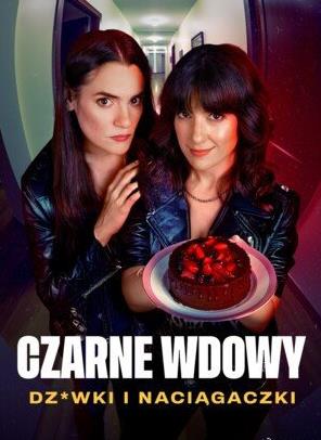 黑寡妇风月陷阱第一季 高清封面