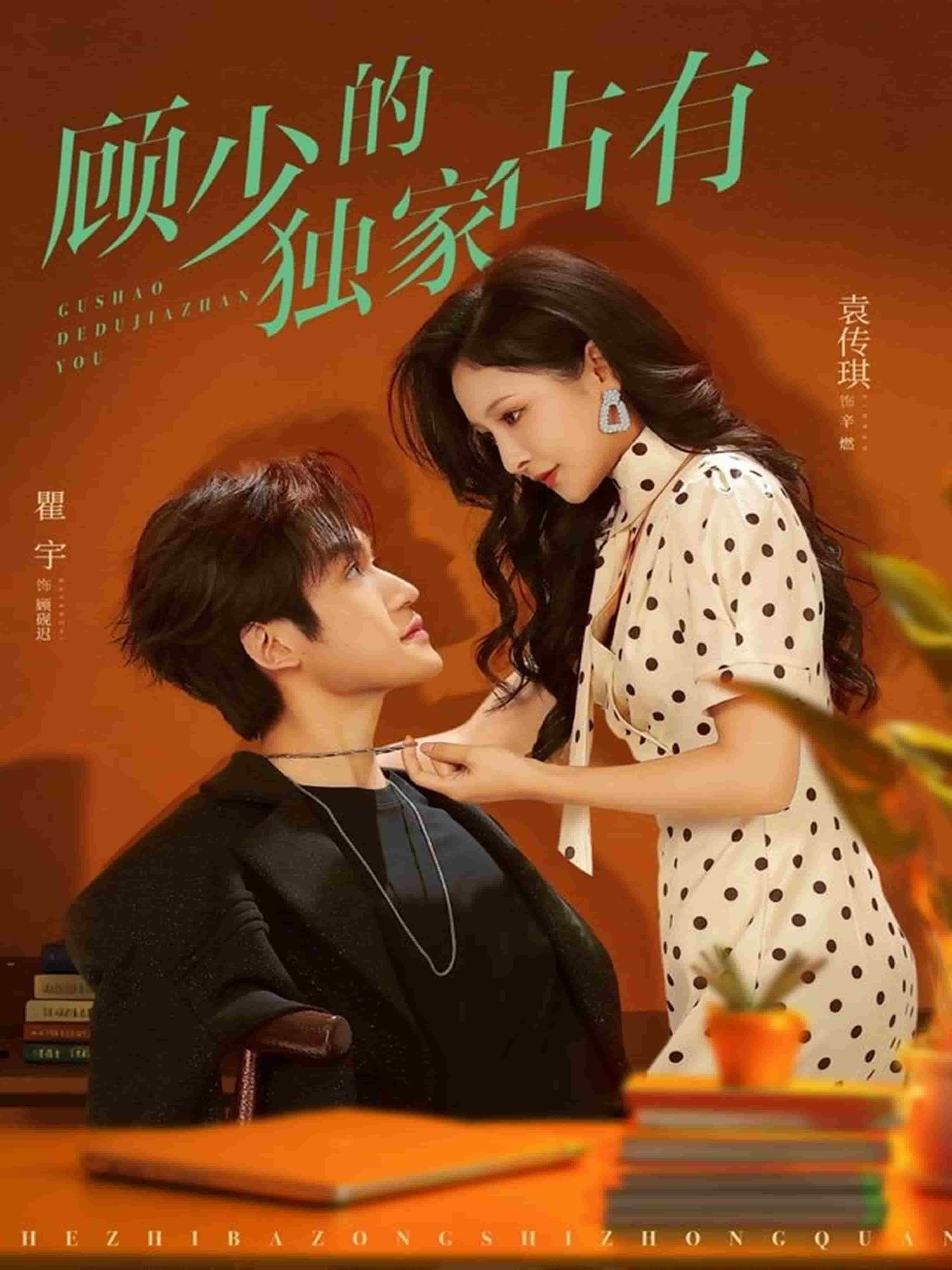 顾少的独家占有 高清封面