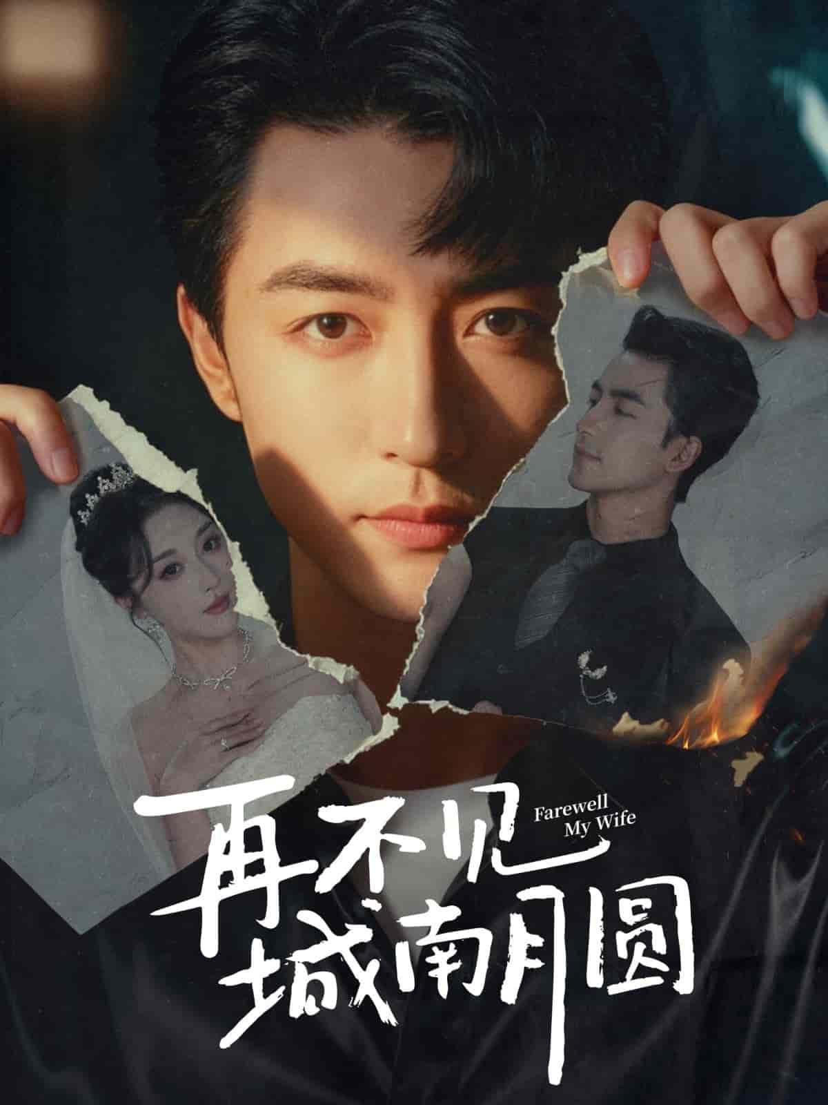 再不见城南月圆 封面
