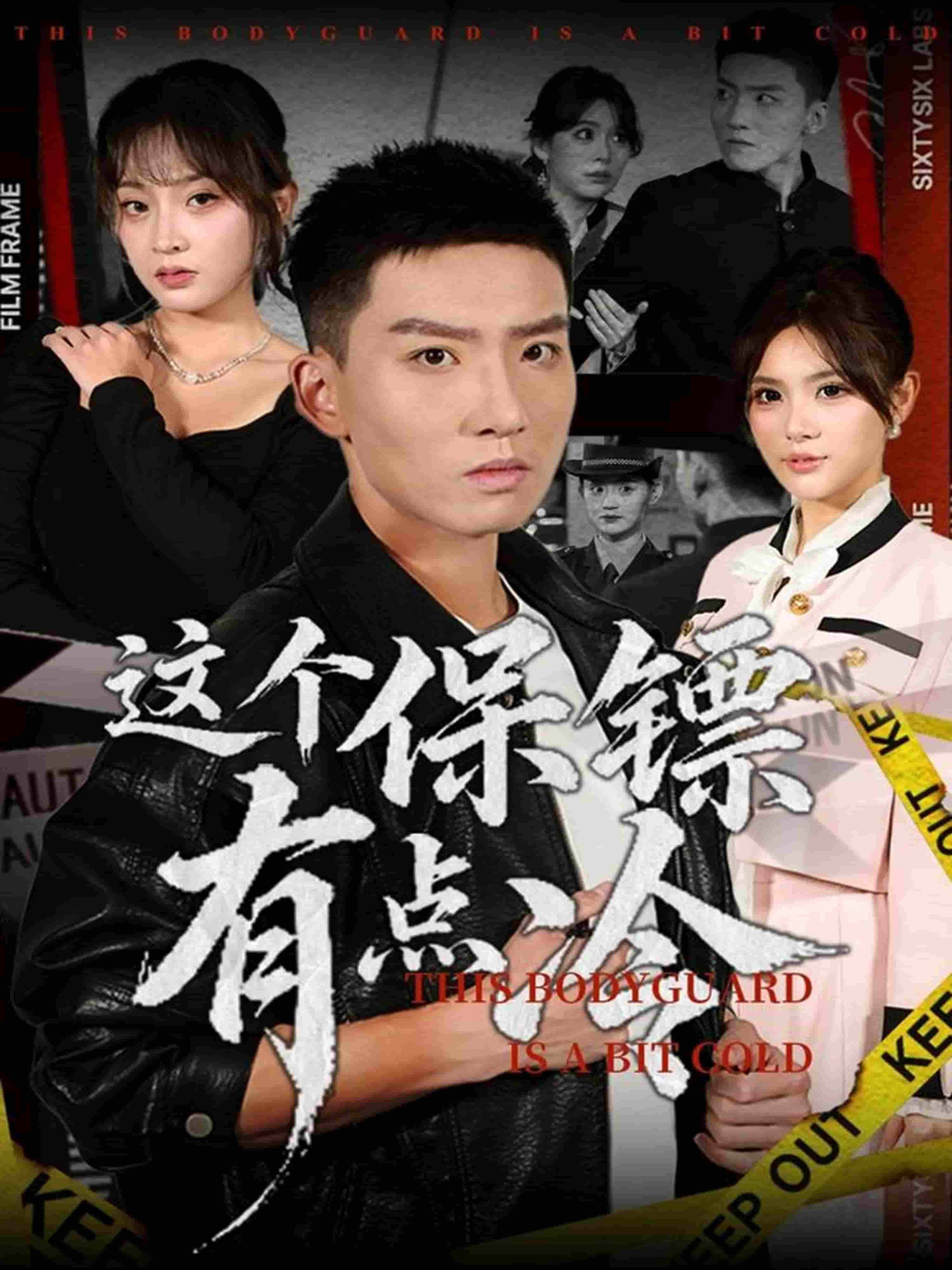 这个保镖有点冷 高清封面