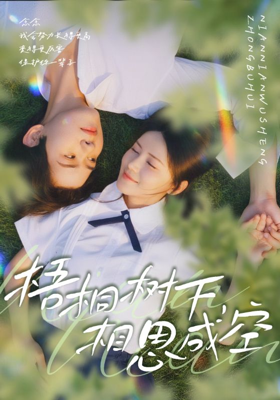 梧桐树下，相思成空 高清封面