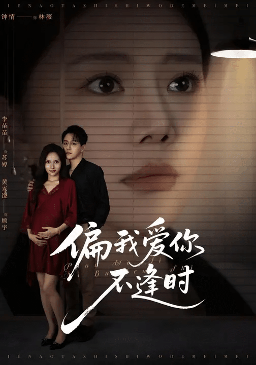 偏我爱你不逢时 高清封面