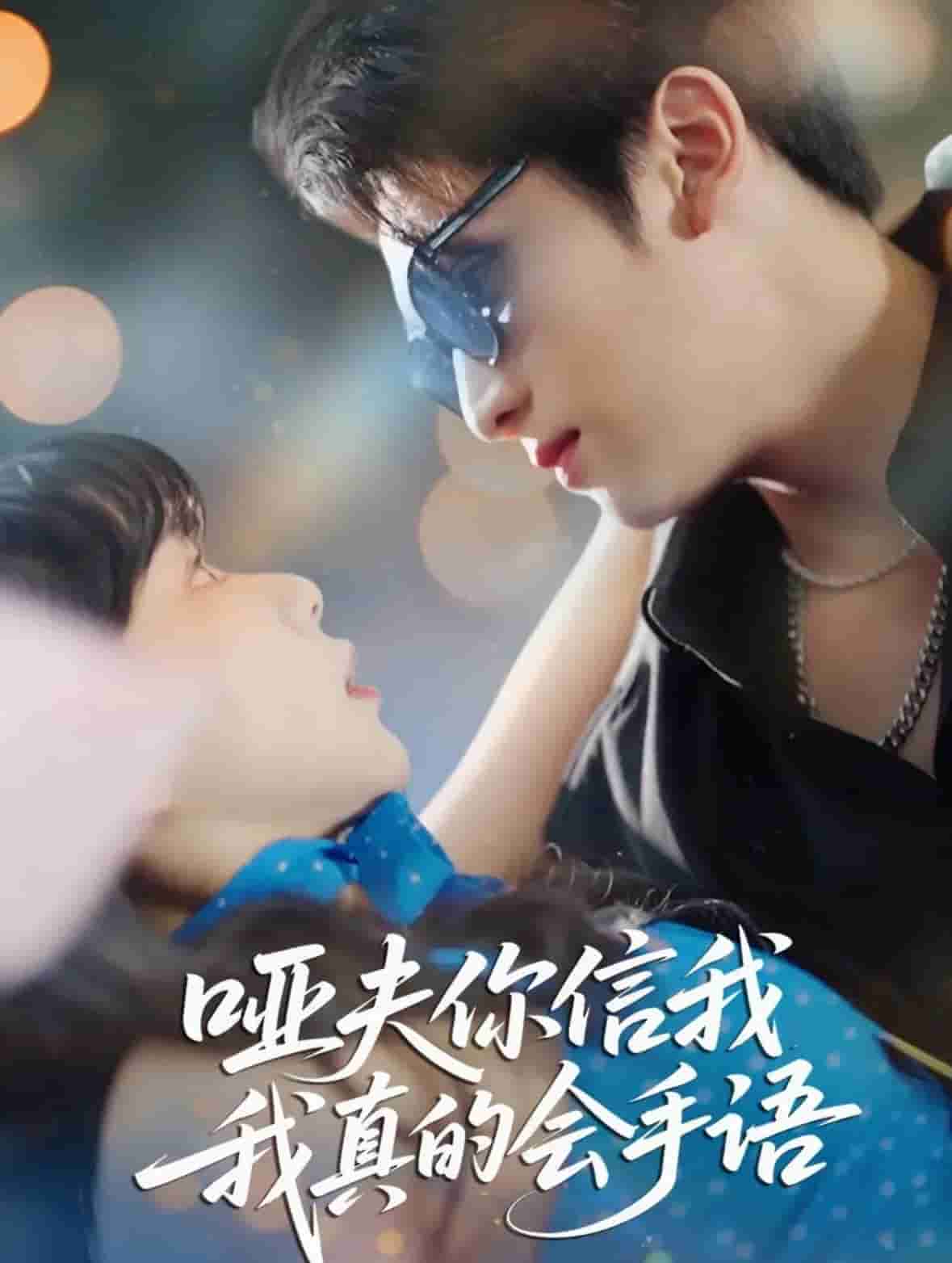 哑夫你信我我真的会手语 高清封面