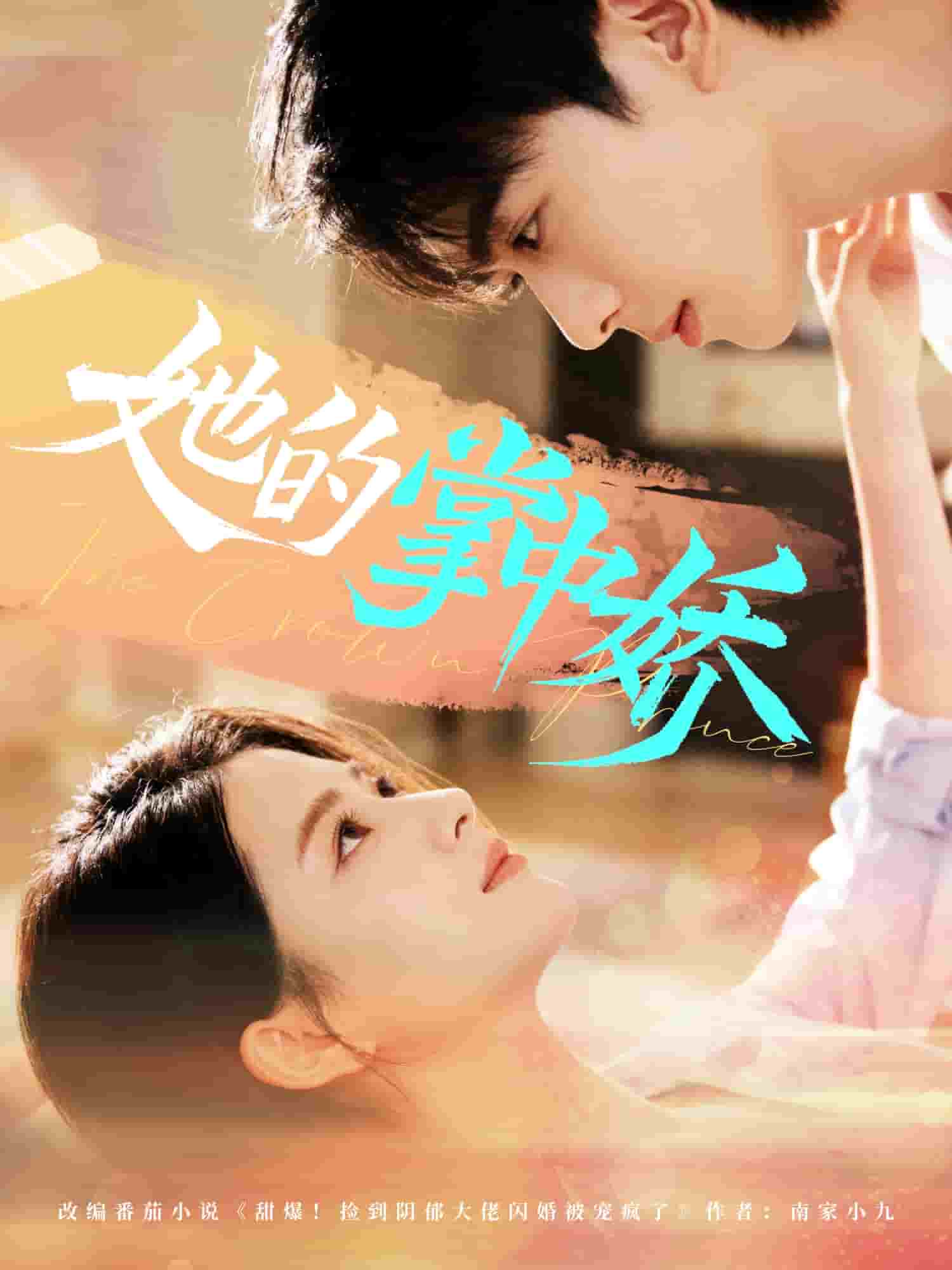 她的掌中娇 高清封面