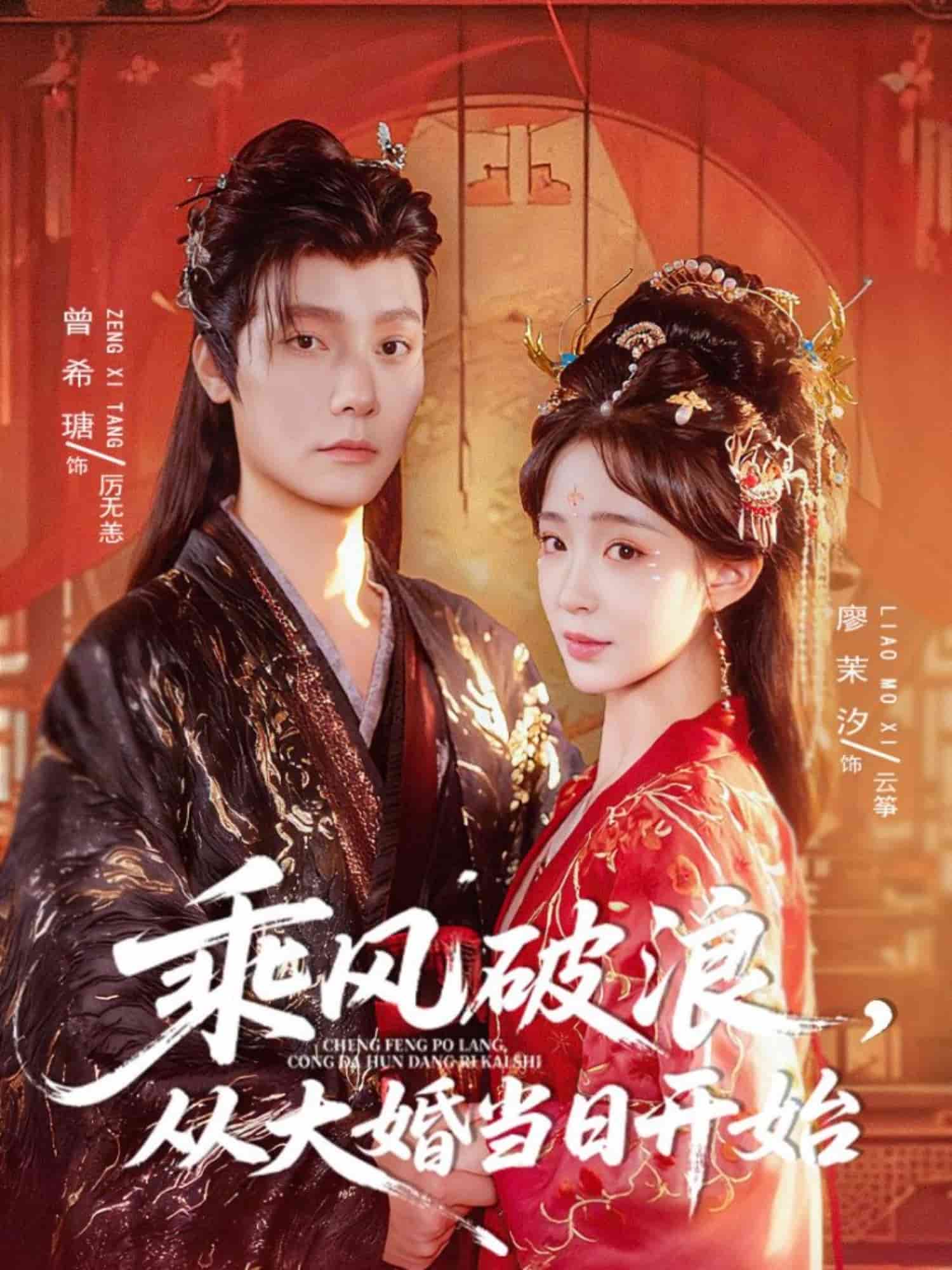 乘风破浪，从大婚当日开始 高清封面