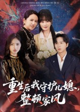 重生后我守护儿媳，整顿家风 高清封面