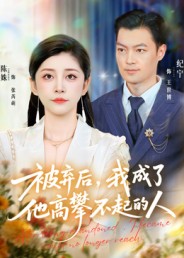被弃后，我成了他高攀不起的人 高清封面